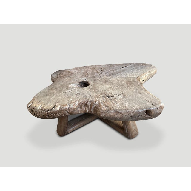 Contemporary Andrianna Shamaris Impressive Single Slab Teak Wood Coffee Table For Sale - Image 3 of 5