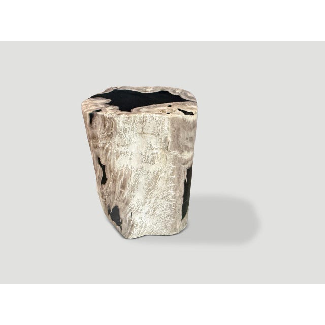 Contemporary Andrianna Shamaris Abstract High Quality Petrified Wood Side Table For Sale - Image 3 of 5