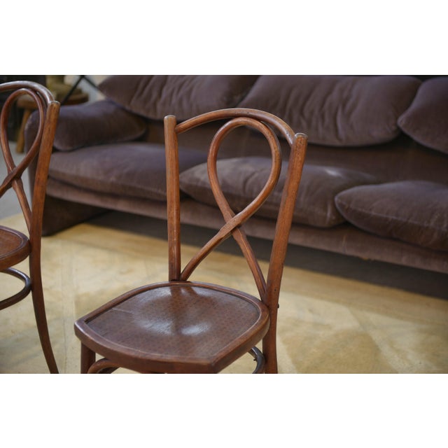 Brown Vintage Bentwood Bistro Chairs, 1950s, Set of 2 For Sale - Image 8 of 10