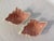 Ceramic Darling Coastal Pink & White Ceramic Bowl Set- 7 Pieces For Sale - Image 7 of 9
