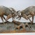 Wood Outstanding Wooden Carved Fighting Stags by K. Bach 1946 For Sale - Image 7 of 12