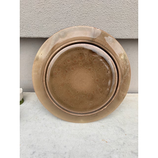 Late 19th Century 19th Century Majolica Asparagus Plate Luneville For Sale - Image 5 of 5