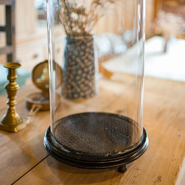 1890's Tall Antique Taxidermy Showcase For Sale - Image 6 of 10