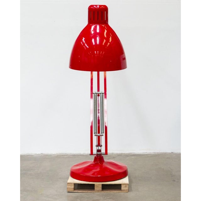 The Great JJ Floor Lamp from iTRE For Sale - Image 6 of 18
