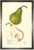 Pear Study in Pewter Shadowbox 13x19 For Sale