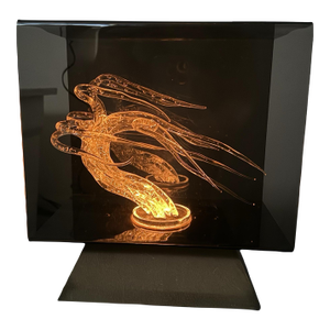 Mid Century Lucite Shadowbox Lamp Hand Formed Tree Sculpture Showcase the Lights Fantastic