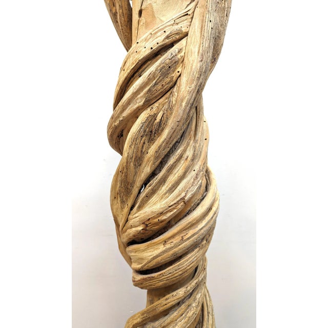 Tan Natural Liana Vine Sculpture For Sale - Image 8 of 12