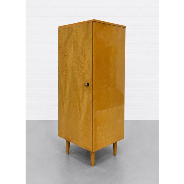 Vintage Mid Century Modern Tall Cabinet | Record Storage, C. 1960’s ...
