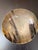 Hand Carved Horn Bowl With Horn Handles and Base For Sale - Image 4 of 8