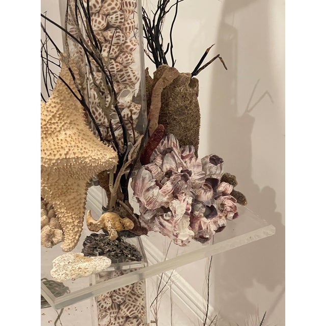 Vintage Grotto Sea World Sea Shells Floor Lamp For Sale - Image 4 of 11