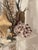 Vintage Grotto Sea World Sea Shells Floor Lamp For Sale - Image 4 of 11