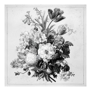 Antique Botanical Study No. 1 - Natural History Fine Art Print For Sale