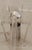 Clear Glass Membrane Lamps attributed to Toni Zuccheri for Veart, Murano, 1960s, Set of 2 For Sale - Image 12 of 15