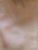 Light Beige Designer Ultrasuede Fabric- 45"x54" For Sale