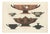 Albert Genick, Greek Kylix, Bowls & Warriors, 1883, Lithograph For Sale