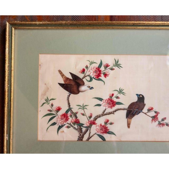 19th or 20th Century Chinese Watercolor Pith Paper Painting of Birds Arguing For Sale - Image 4 of 16