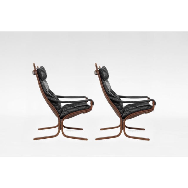 Vintage Siesta High Back Chairs in Black Leather and Plywood by Ingmar Relling for Westnofa, 1960s, Set of 2 For Sale - Image 3 of 6