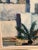 Gunnar Stålbrand, Palm Trees, 1960s, Oil Painting on Canvas, Framed For Sale - Image 10 of 18