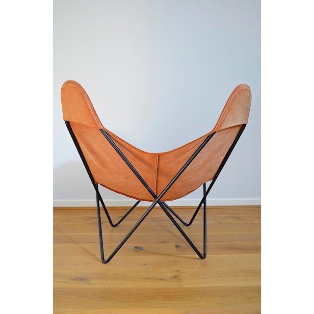 Butterfly Chair attributed to Jorge Hardoy-Ferrari for Knoll, 1960s For Sale - Image 16 of 18