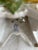 Mid 19th Century Antique Dresden Porcelain Compote For Sale - Image 5 of 9