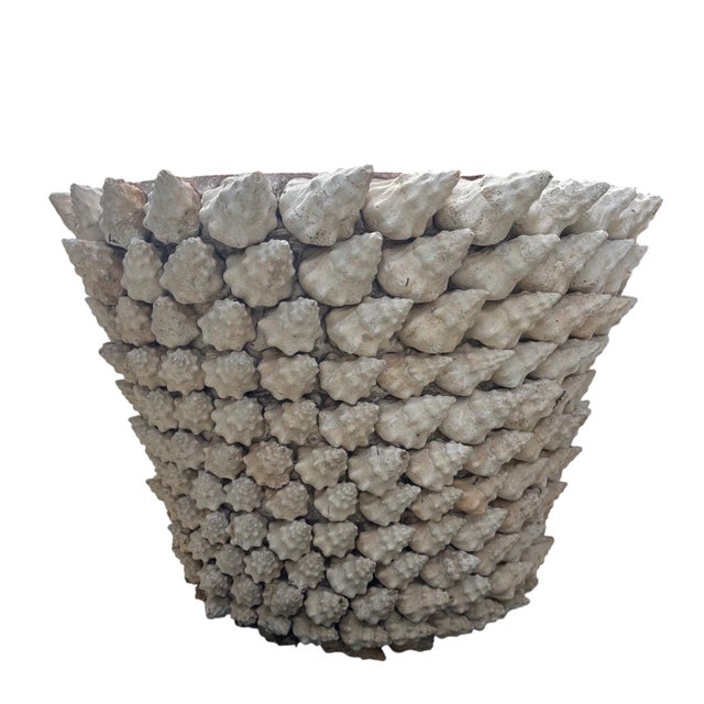 Antique White Monumental Italian Coquillage Shell-Encrusted Terracotta Planter, Mid-20th Century For Sale - Image 8 of 14
