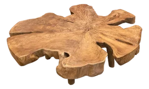 Andrianna Shamaris Organic Teak Wood Root Coffee Table