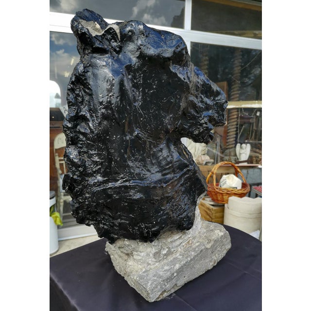 Statue Horse Horse in Black Painted Cement, Italy For Sale - Image 4 of 10