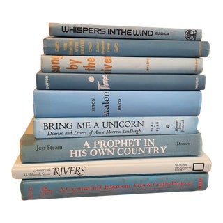 Vintage Sky Ice Ocean Blue Bookstack Library Book Decorative Color For Sale