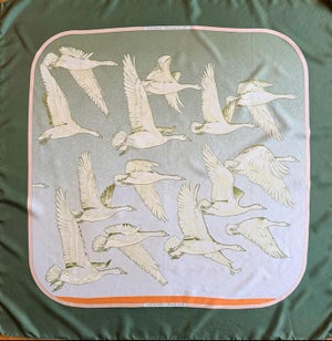 Hermès Oiseaux Migrateurs 1980 Silk Scarf Designed by Latham Caty