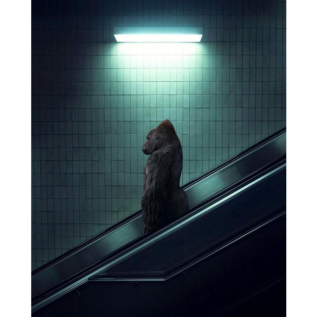 Mr strange, 2022, The Escalator, Giclée print on Hanhemühle paper For Sale - Image 3 of 11