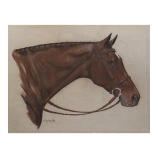 Signed Equestrian Horse's Head/Fine Art Pastel For Sale