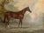English 1961 "Sweet Solera" Large Vintage Equestrian Horse Painting Oil on Canvas by Juliet McLeod For Sale - Image 3 of 14