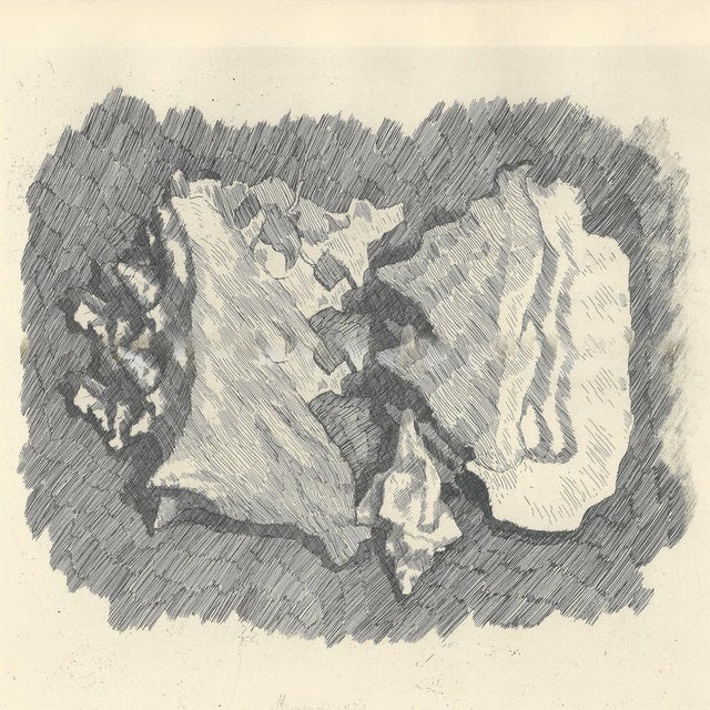 Giorgio Morandi (1890-1964) "Natura Morta con Conchiglie" (Still Life with Shells) Lithograph on paper signed in the plate...