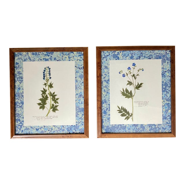 Reproduction Pressed Flower Botanical Prints - Custom Burlwood Frames - Set of 2 For Sale