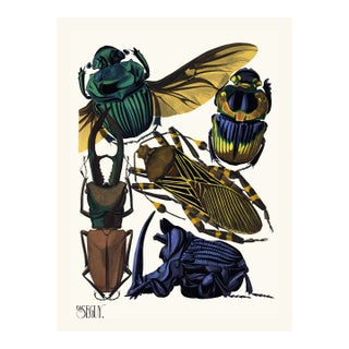 Insects Plate 07 by Emile-Allain Séguy, Vintage Art Print Reproduction, 18" × 24" For Sale