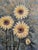 Mid - Sized Framed Textured Sunflower Painting on Canvas For Sale - Image 4 of 5