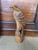 For your consideration, a wonderful eagle carved from bamboo. My father bought this from an Americana dealer thinking this...