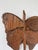 Antique Butterfly Wall Decorations, 1900s, Set of 2 For Sale - Image 9 of 18