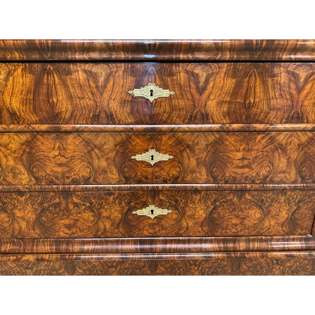 Brown Antique Louis Philippe Commode in Burr Walnut, 1850 For Sale - Image 8 of 18