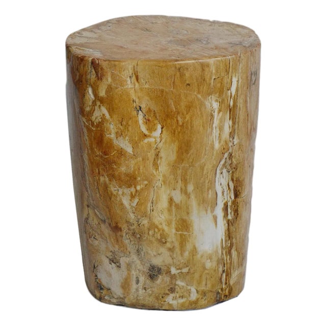 Petrified Stump Vintage Side Table For Sale