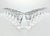 American 1950s Fostoria “Bridal Belle” Set of 12 Cordial Liquor Sipper Glasses For Sale - Image 3 of 7