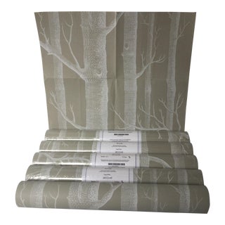 Cole and Sons Woods Taupe & White Wallpaper - 5 Rolls For Sale