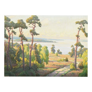Wilhelm Wilcke, View of Schwanenwerder (Berlin), 1950s, Oil Painting on Canvas, Framed For Sale