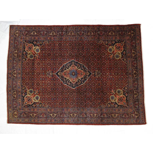 This master piece is a wool pile genuine hand made exceptionally fine Vintage Persian Bijar Carpet from 1940's with...