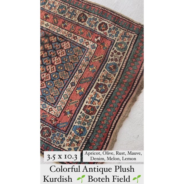 **All of our Antique rugs and Vintage rugs have been cleaned and are ready to use!** Enjoy! Name: COLORFUL Kurdish Antique...