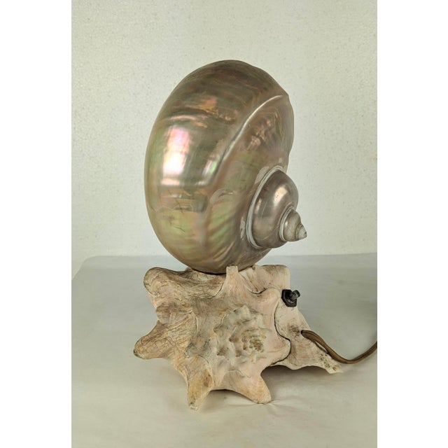 Deco Nautilus and Conch Shell Lamp For Sale In New York - Image 6 of 11