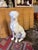Vintage Italian Midcentury Style Life-Size Ceramic Greyhound Dog For Sale - Image 4 of 12