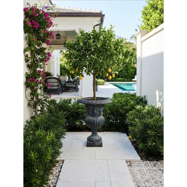 Classic Neoclassical Cast Iron Garden Urn With Distressed Bronze Finish For Sale - Image 9 of 12