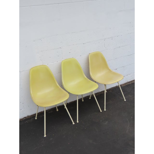 This Set of 3 Chairs are made out of fiberglass. These gorgeous chairs were made by Eames for Herman Miller in the 1960s....