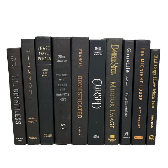 Modern Decorative Books - Onyx Book Bundle - 1 Foot of Black Books For Sale - Image 3 of 3
